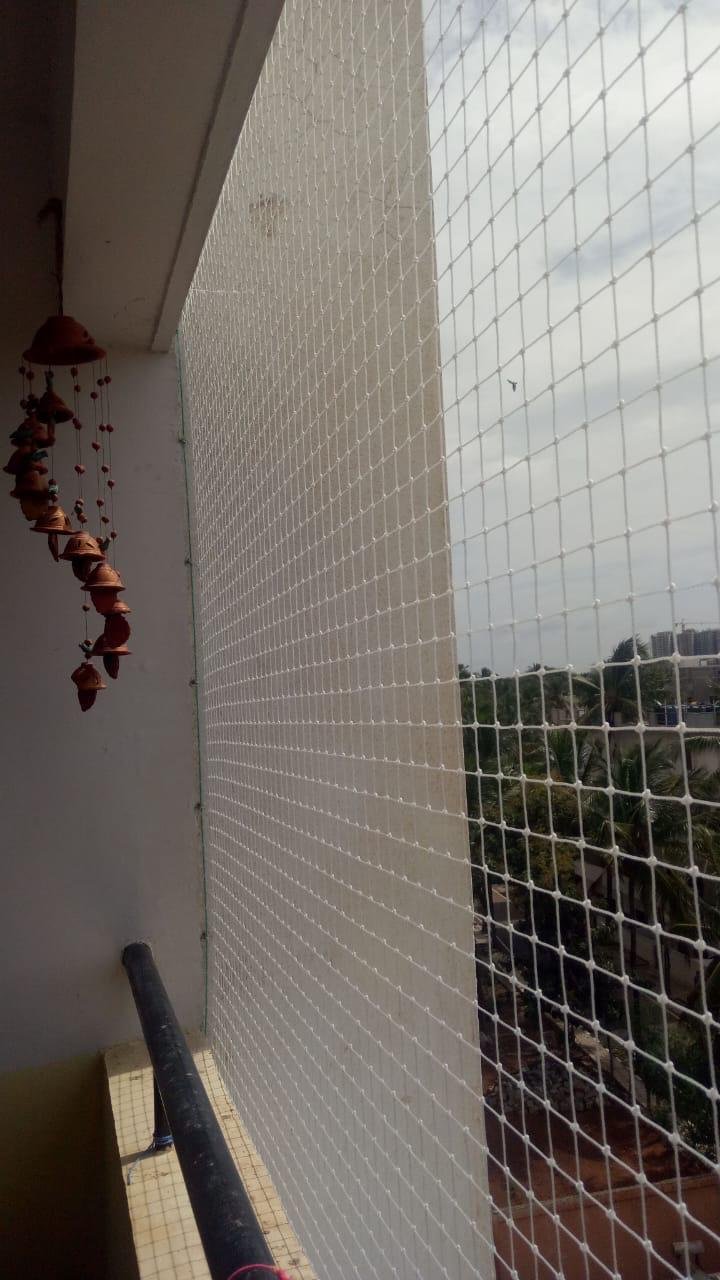 Coconut Tree Safety Nets